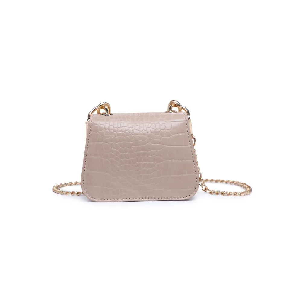 Alesha Mini Bag