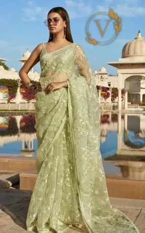 Bollywood Style Nylon Net Green Designer Saree