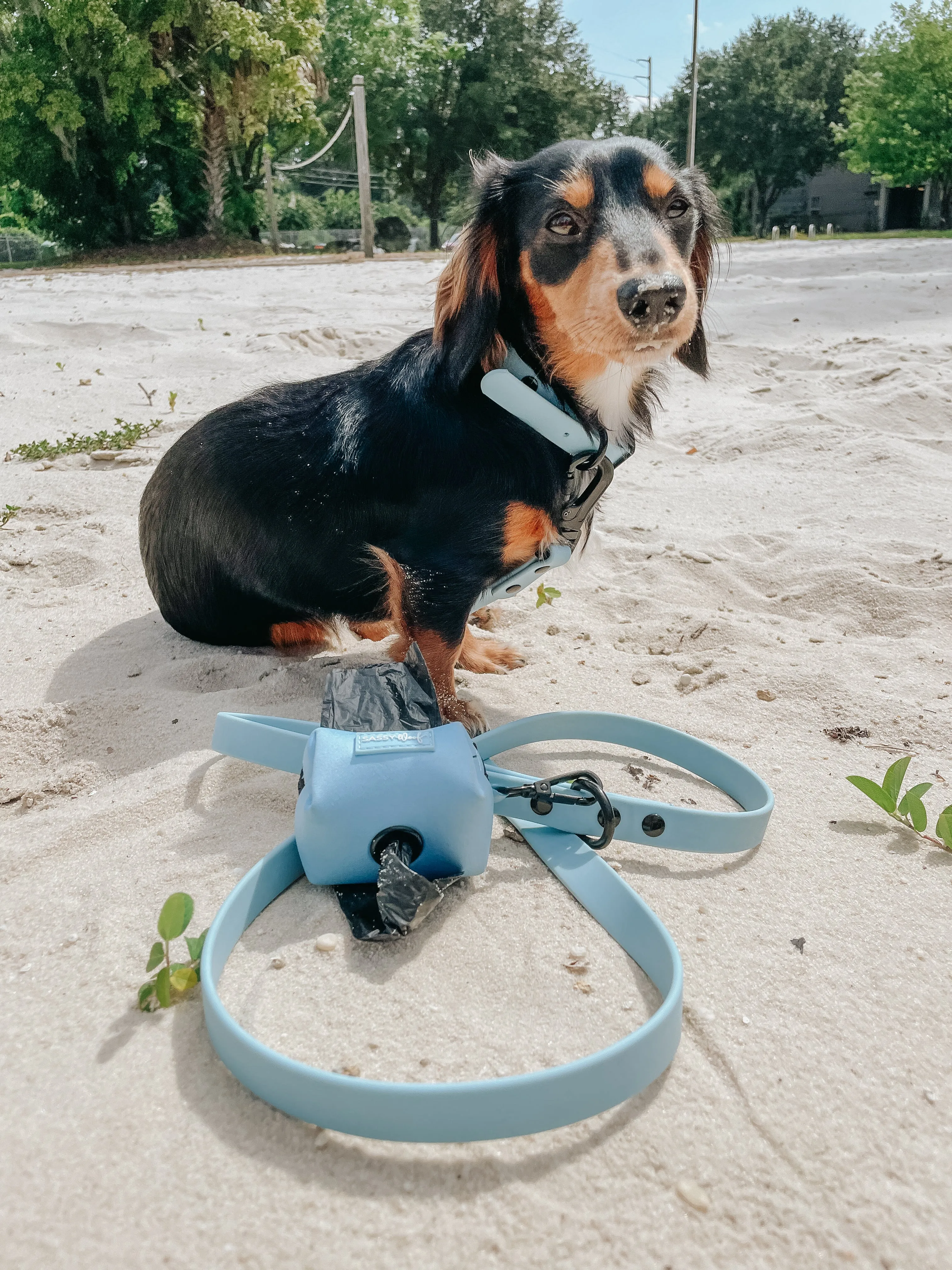 Dog Waterproof Leash - Blue