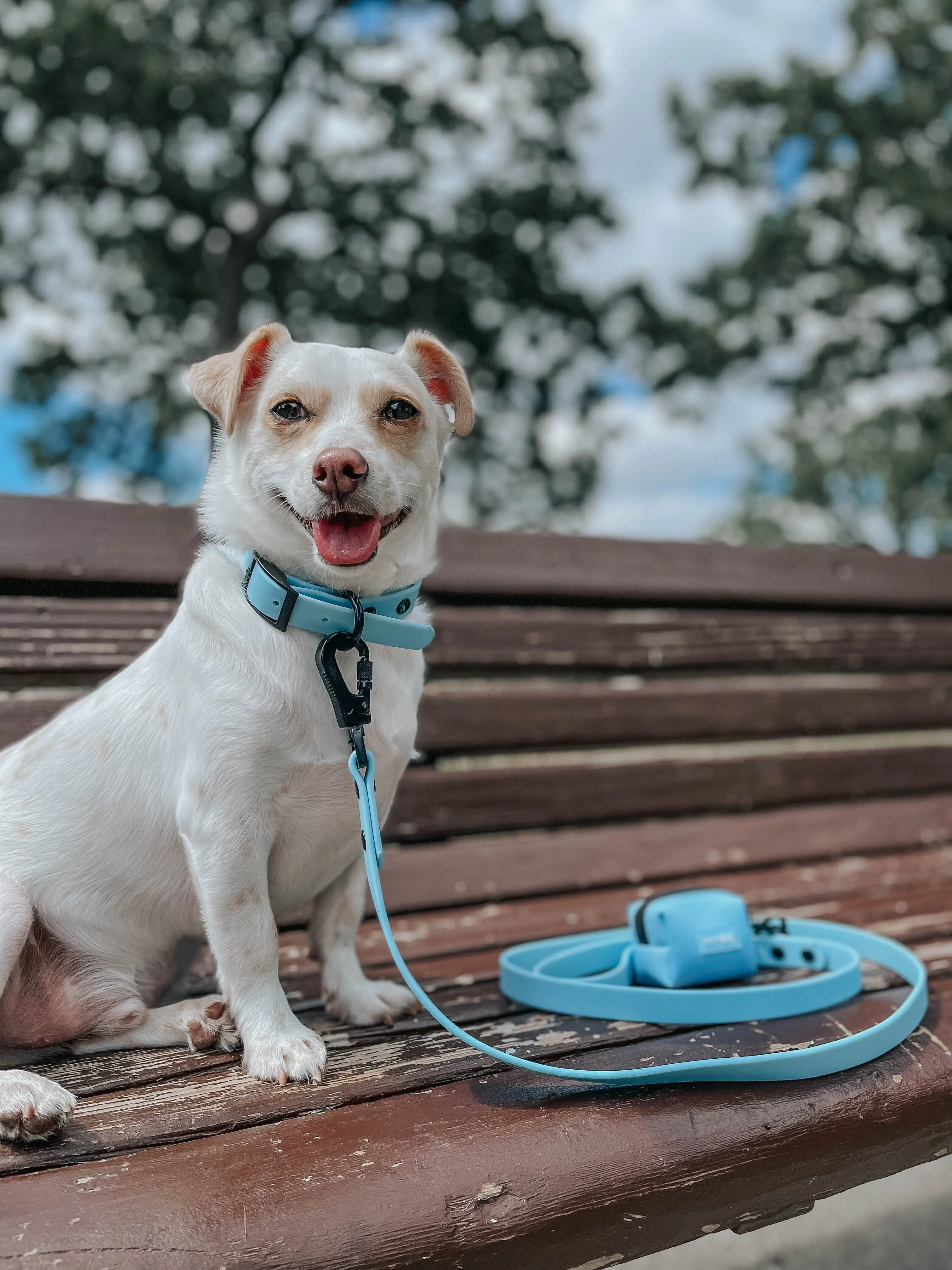 Dog Waterproof Leash - Blue