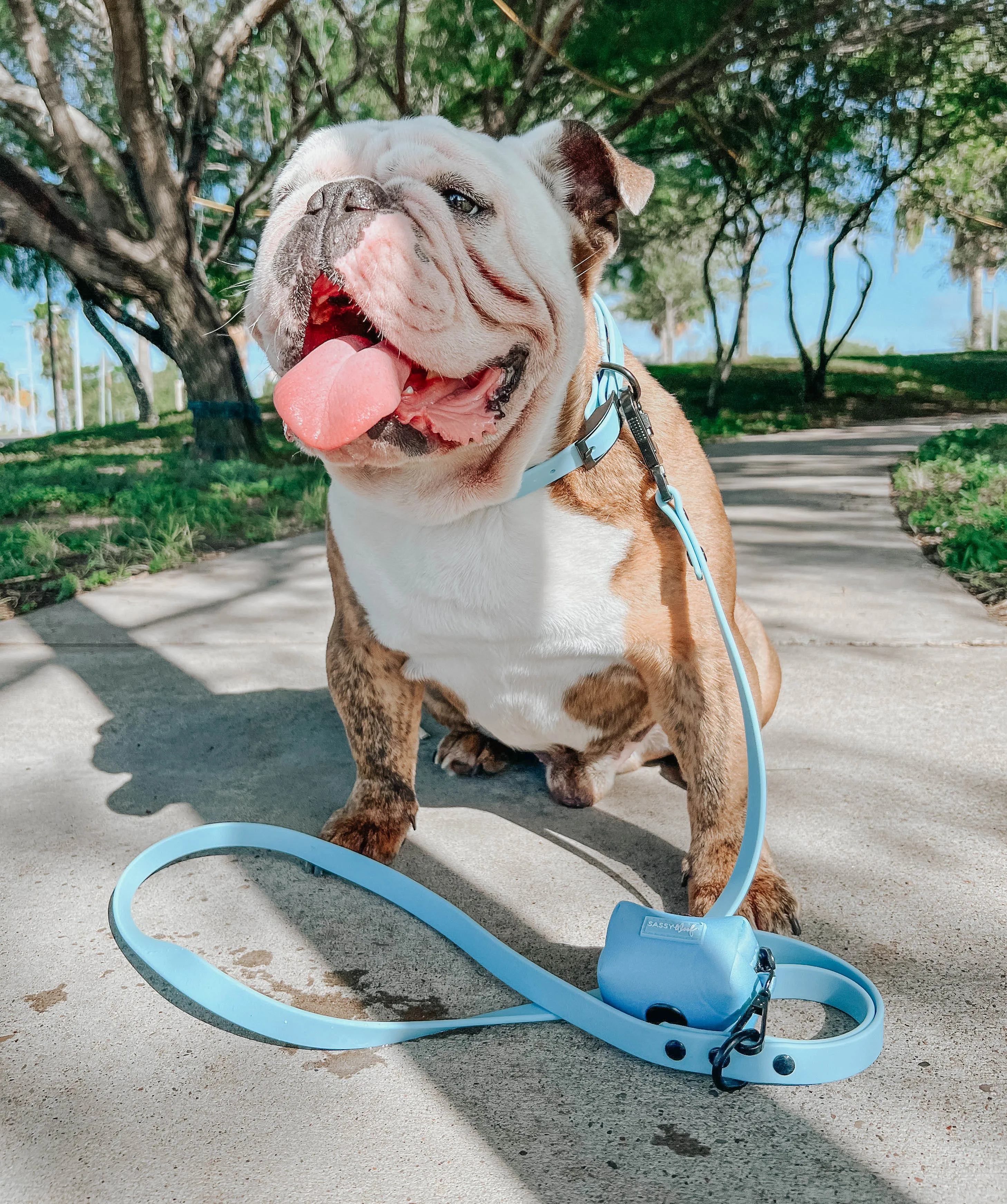 Dog Waterproof Leash - Blue