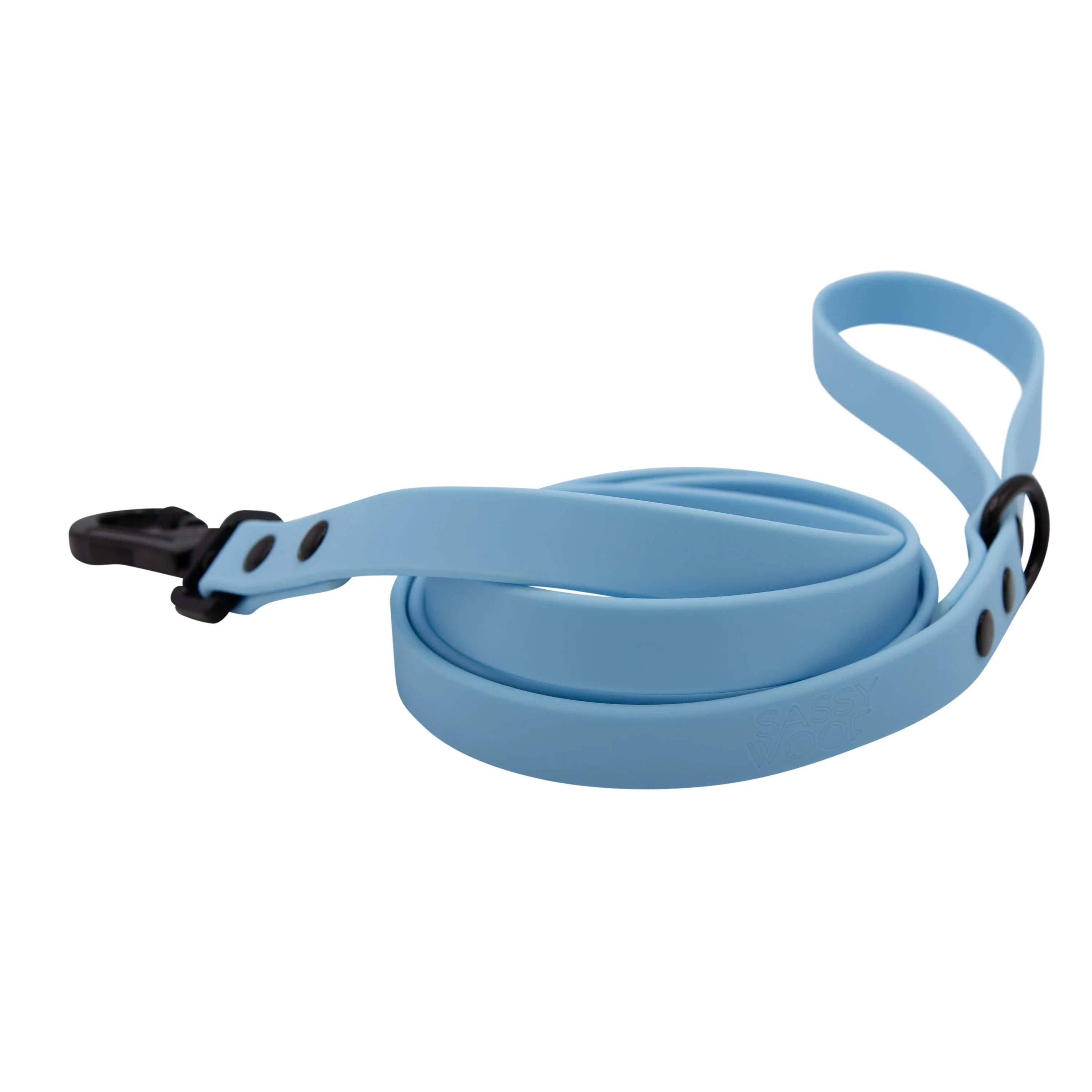 Dog Waterproof Leash - Blue